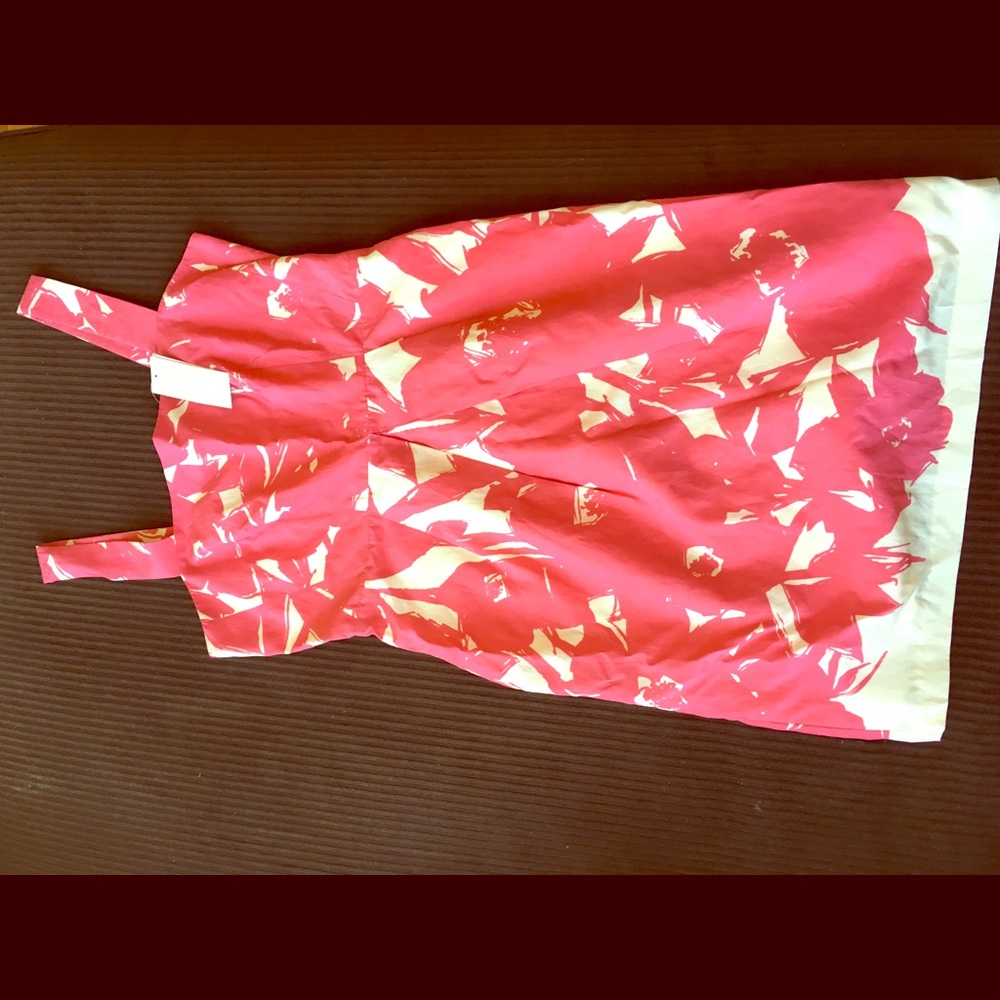 Banana Republic pink and off white sundress 6P